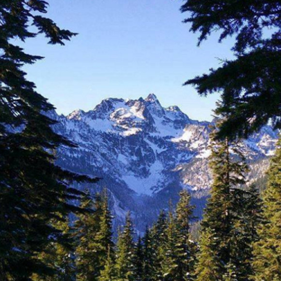 Meet your Posher, Posh - Picture 1 of 1